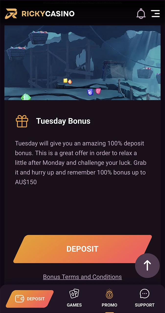 Determine the Ricky Casino bonus that's right for you.