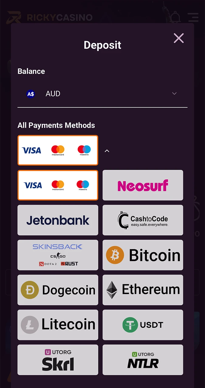 Explore the available payment methods at Ricky Casino and choose the one that suits you.