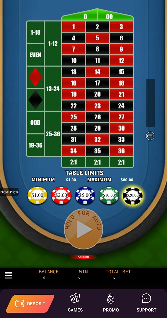 Choose a betting option from those available in roulette from Ricky Casino.